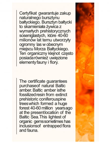 Kosmetyczka damska z...